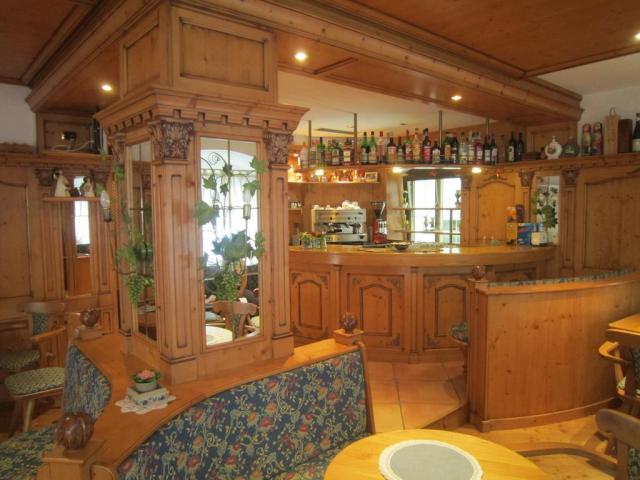 Alpina Hotel Pinzolo 2019 (11)