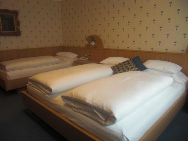 Hotel Evaldo, Arabba (5)
