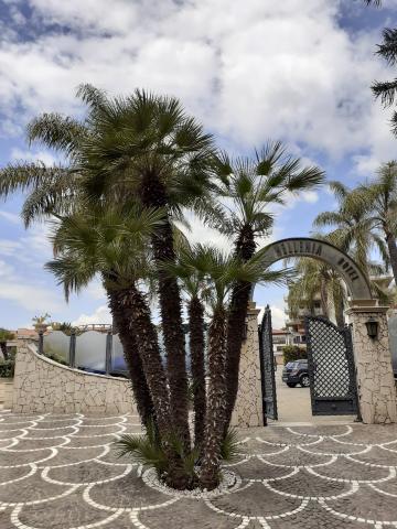 Hotel Hellenia Yachting GiardiniNaxos (1)