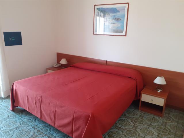 hotel Delle Palme Let 12.6 (41)