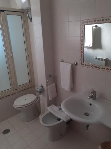 hotel Delle Palme Let 12.6 (37)