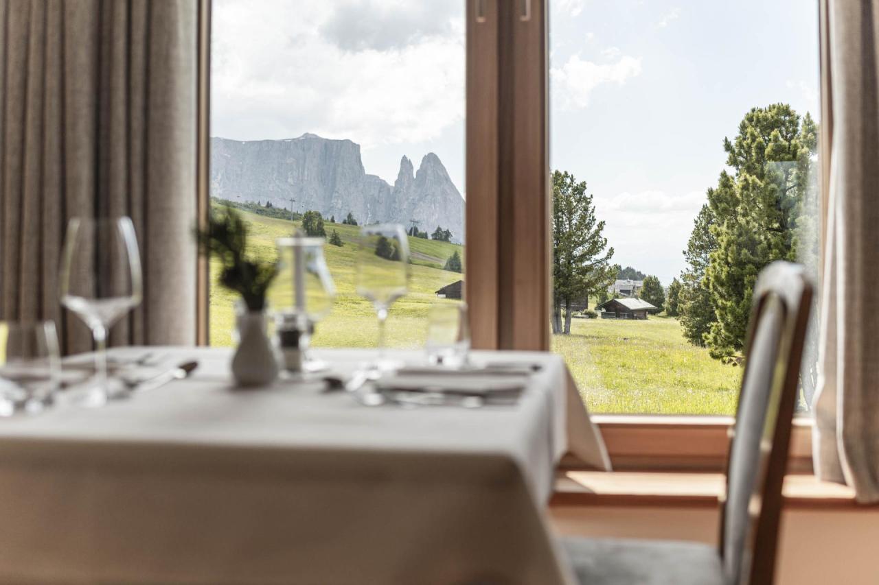Hotel Steger Dellai, Alpe di Siusi (8)