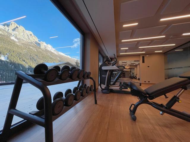 Ciampedie Lux Alpine Spa VigodiFassa Ignas (4)