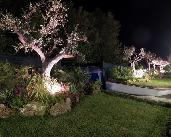 Villaggio Le Palme - Ascea Martina (6)