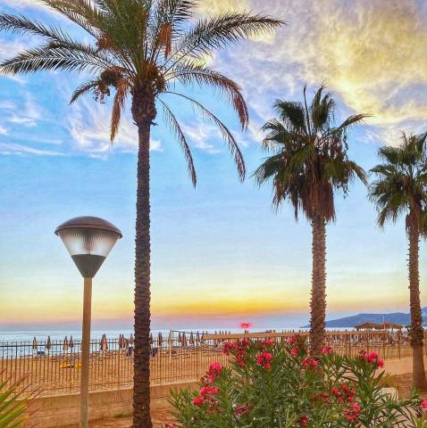Villaggio Le Palme v Marina di Ascea (5)