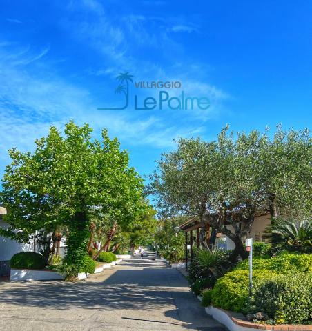 Villaggio Le Palme v Marina di Ascea (10)