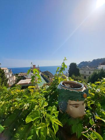 hotel Ipanema Mazzaro (6)