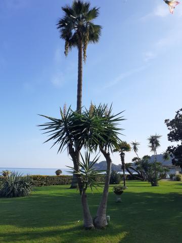 hotel Caparena Letojanni,Taormina (53)