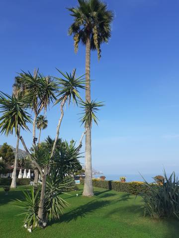 hotel Caparena Letojanni,Taormina (39)