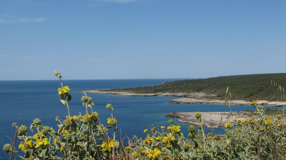 Puglia Discovery (31)