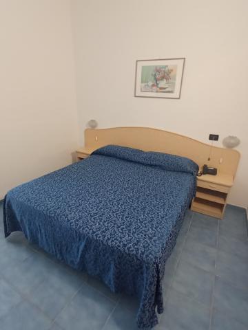 hotel Riva del Sole Forio (13)