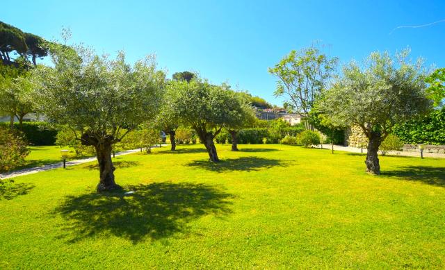 Park Victoria   Ischia (4)