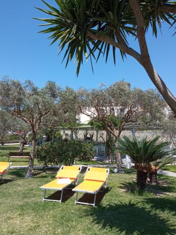 hotel Park Victoria Forio (11)