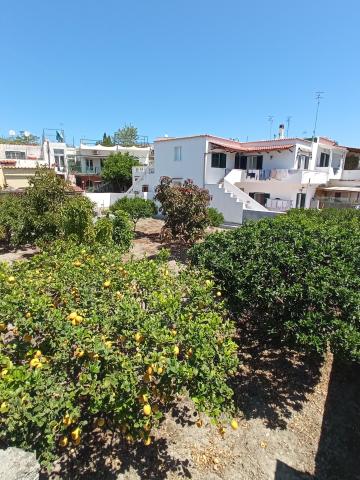 hotel Park Victoria Forio (5)