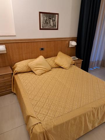 hotel Sabbie d Oro Giardini (10)