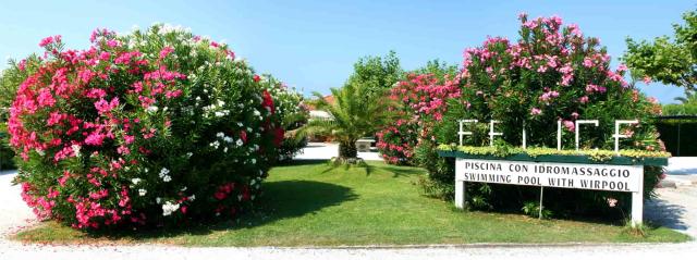 Hotel La Pigna    Marina Di Pietrasanta (26)