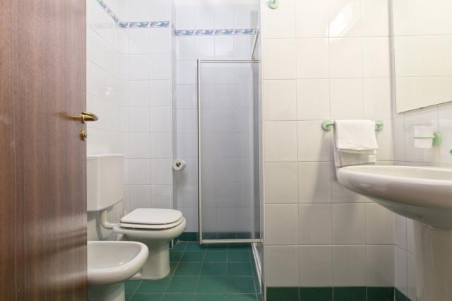 Park Hotel Jolanda, San Zeno di Montagna (8)