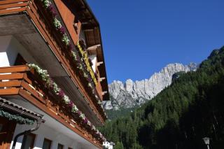 Alpenrose