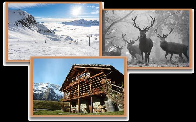 Indren Hus Residence,Alagna (1)
