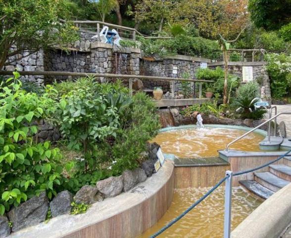 Giardino delle Ninfee, Ischia (23)