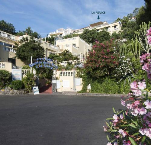 Giardino delle Ninfee, Ischia (56)