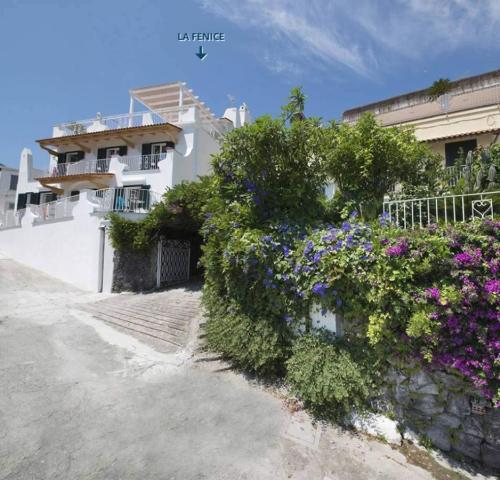 Giardino delle Ninfee, Ischia (52)