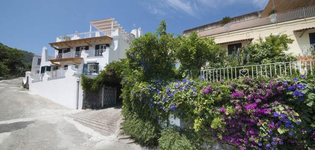 Giardino delle Ninfee, Ischia (57)