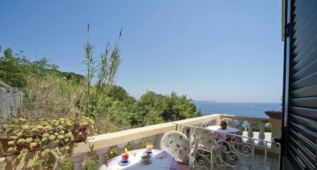 Giardino delle Ninfee, Ischia (39)