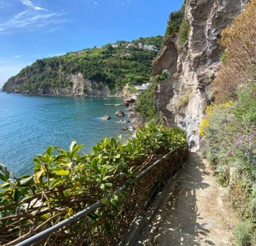 Giardino delle Ninfee, Ischia (13)