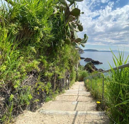 Giardino delle Ninfee, Ischia (12)