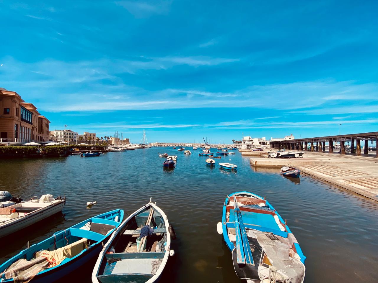 bari cristian macovei af7YjaPMce0 unsplash