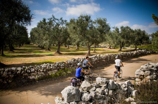 Puglia Discovery (29)