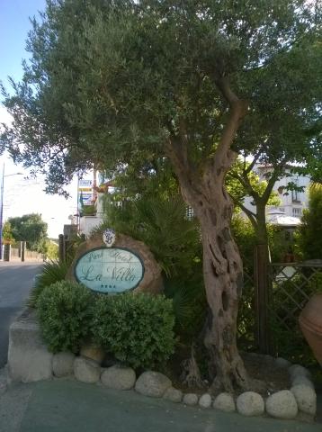 La Villa Res. Spa   Forio (46)