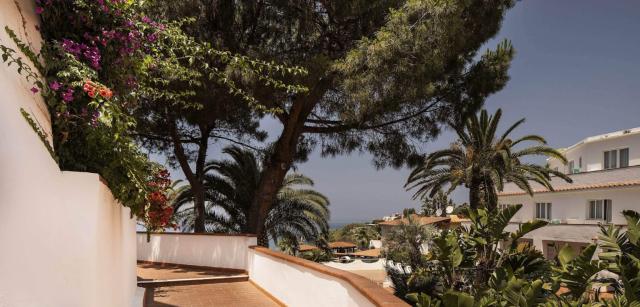 Royal Palm Hotel   Forio (28)