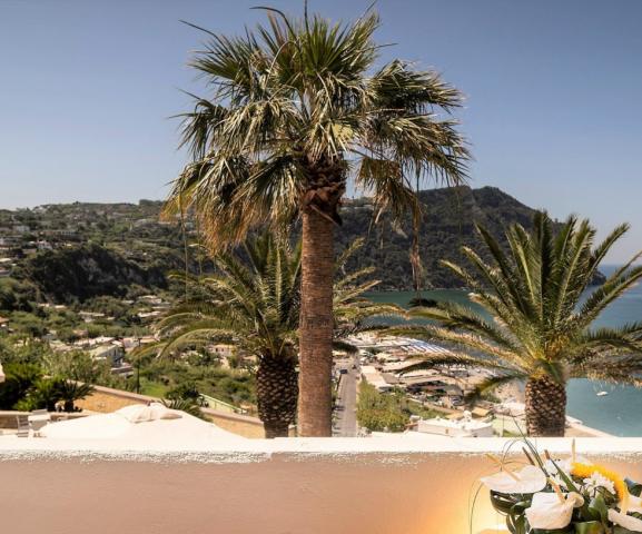 Royal Palm Hotel   Forio (59)
