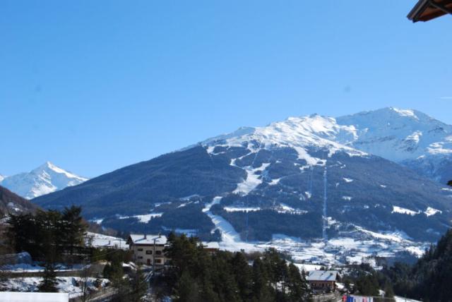 Chalet Gardenia Bormio (13)