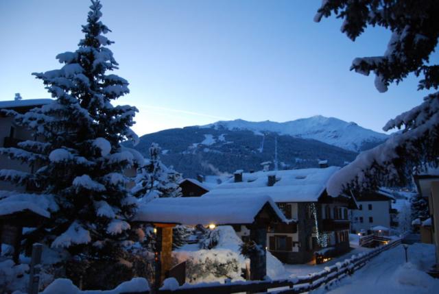 Chalet Gardenia Bormio (15)