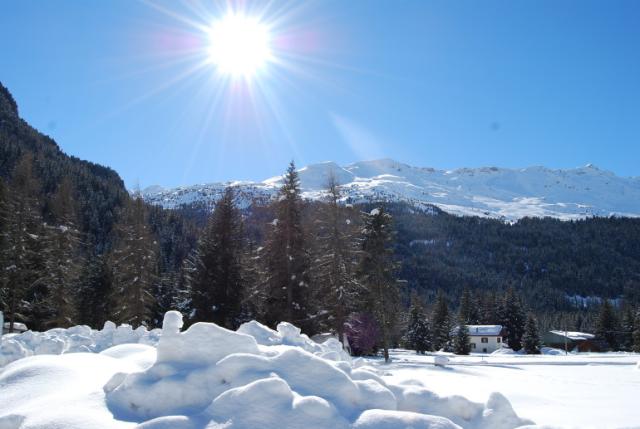 Chalet Gardenia Bormio (2)