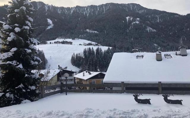 Hotel Garni Fortuna   Ortisei (14)