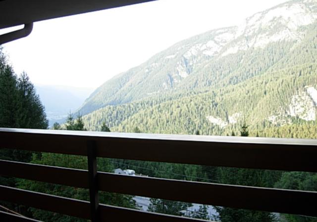 I Larici QUADRI (10)