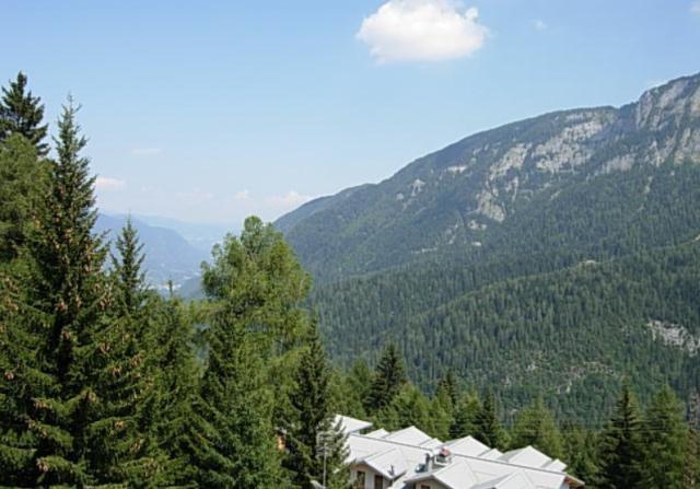 Splendor TRILO 6 (7)