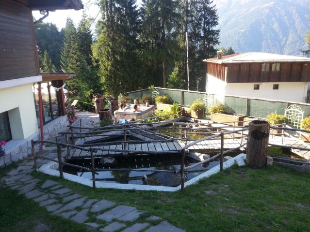 Hotel Selva, Folgarida di Dimaro (38)