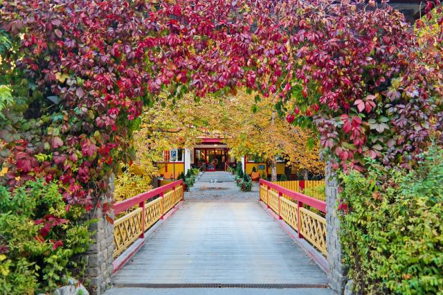 Sole Paradiso PH, San Candido (34)