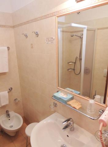 Hotel Christine   Campitello di Fassa (5)