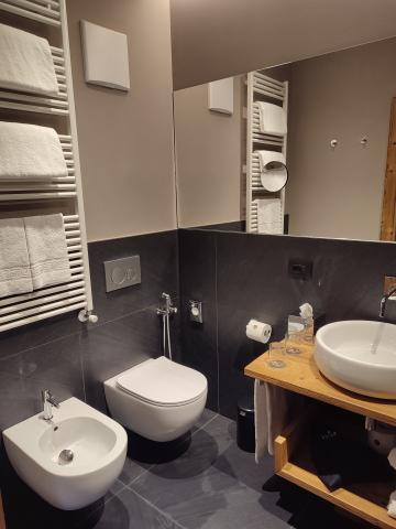 Fiori Hotel, San Vito di Cadore 24 (6)