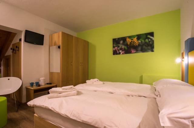 AlpenColor Tonale Hotel, Passo Tonale (19)