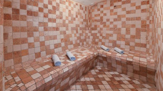 wellness-dampfsauna