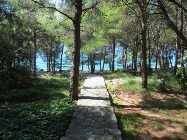 03_Villa_Drage (9)