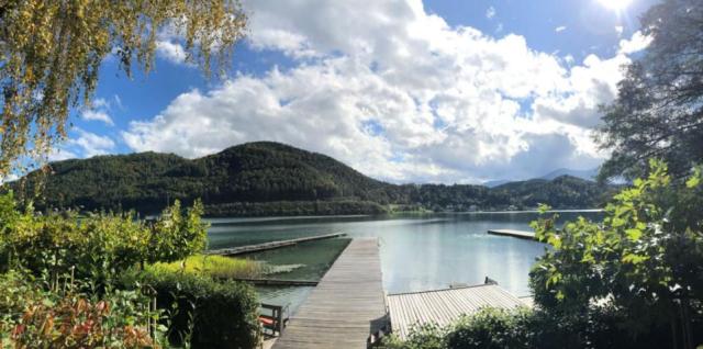 Blick-zum-See-Panorama.jpg_710322404