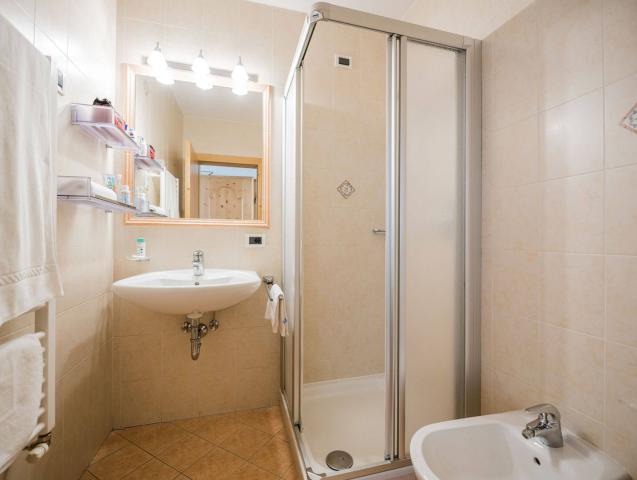 dz-dusche-alpenrose